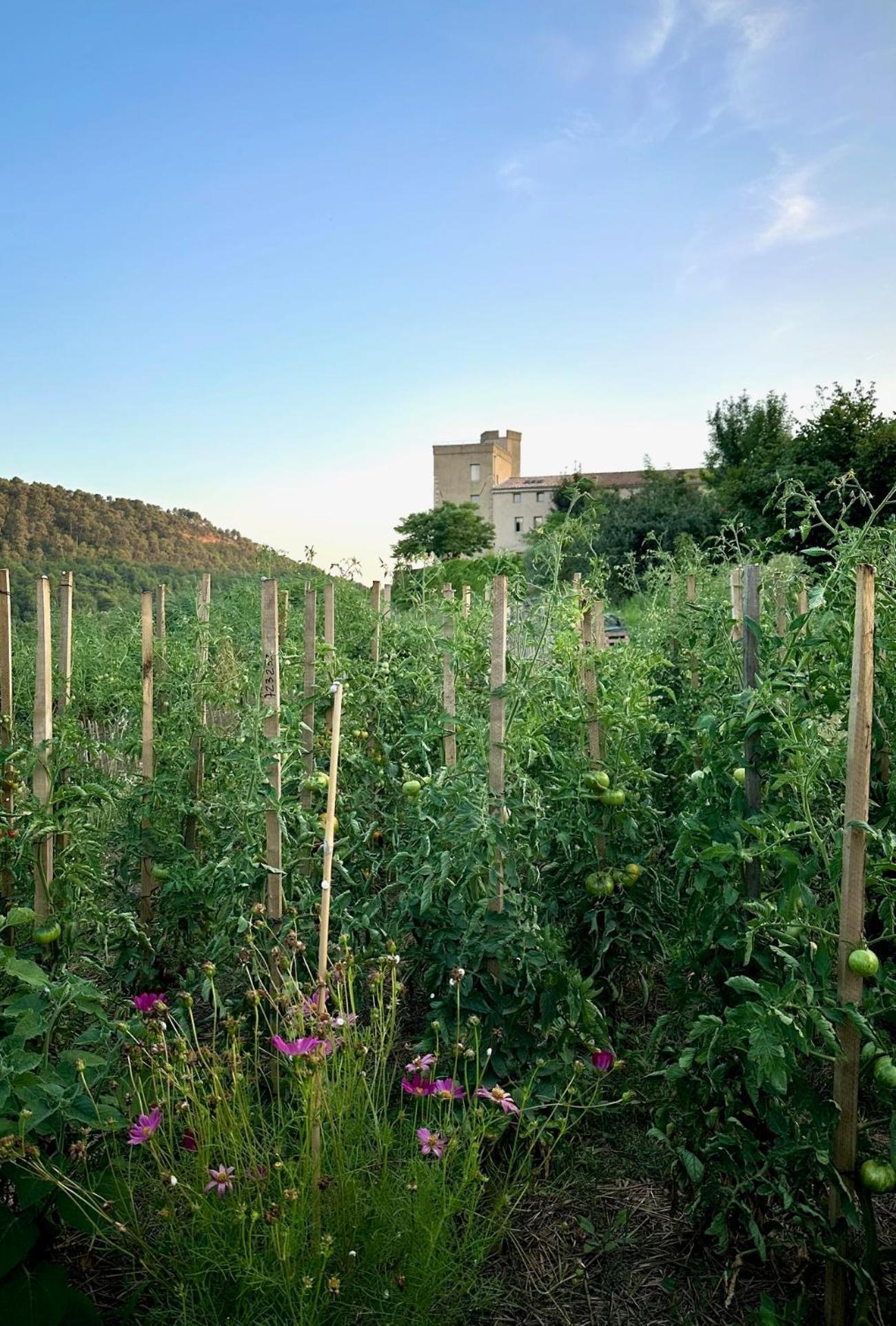 Domaine La Ferme Hi Bride Bed & Breakfast Villelaure Luaran gambar