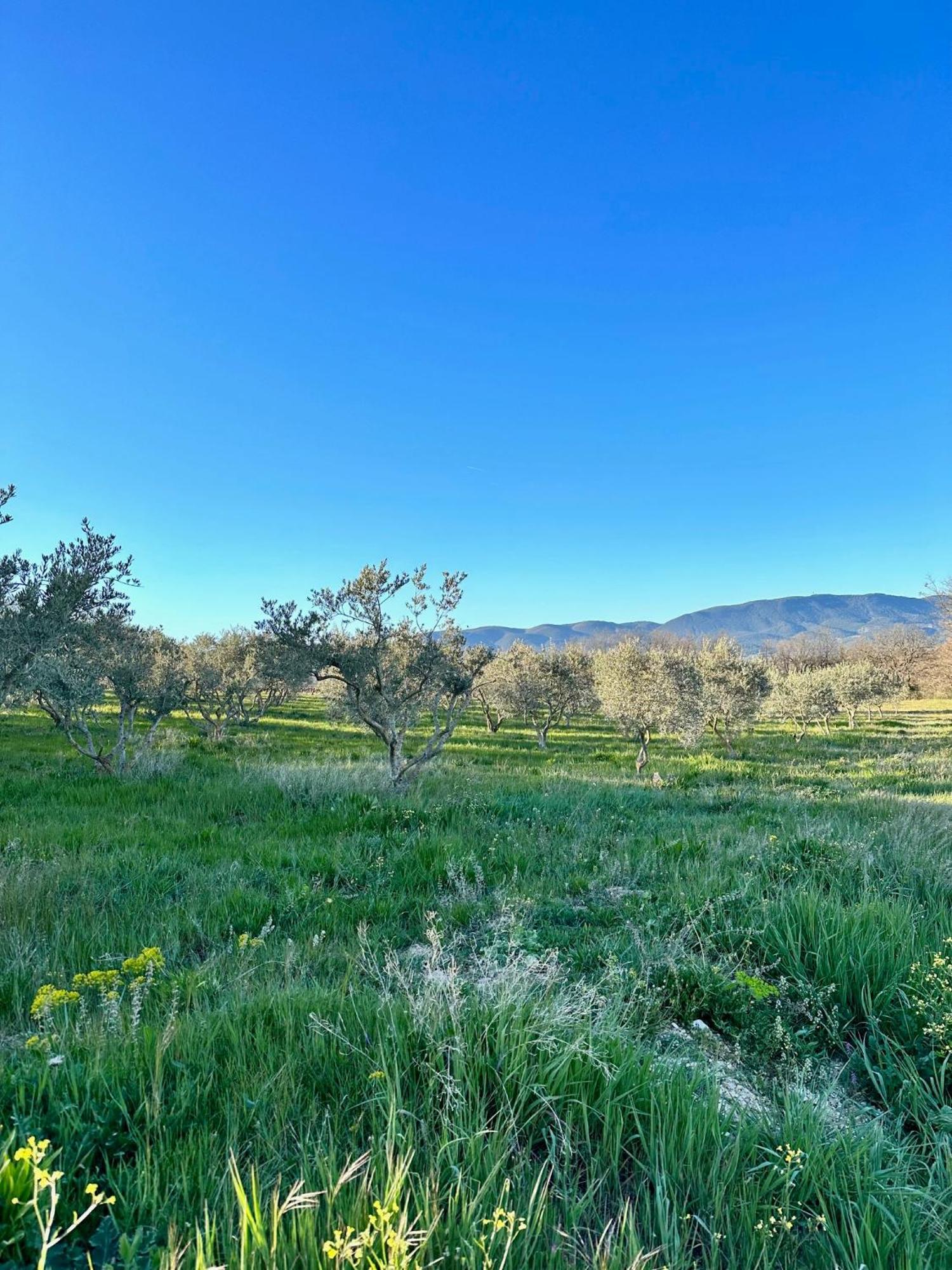 Domaine La Ferme Hi Bride Bed & Breakfast Villelaure Luaran gambar
